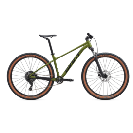 2025 Giant Talon 2