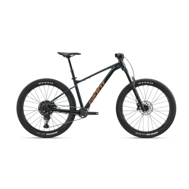 Giant 25 Giant Fathom