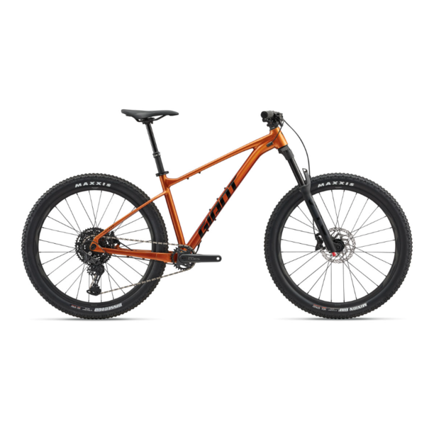 Giant 25 Giant Fathom
