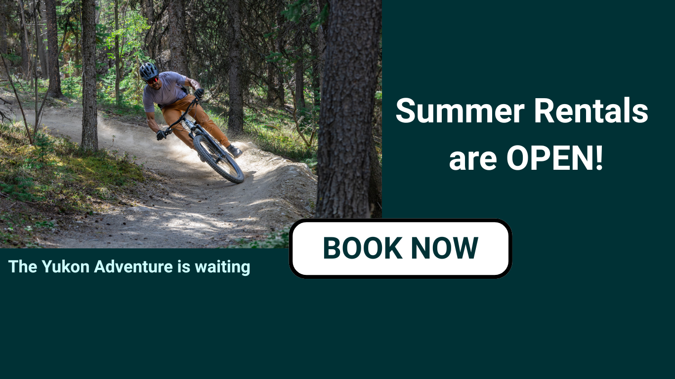 Summer Rentals OPEN