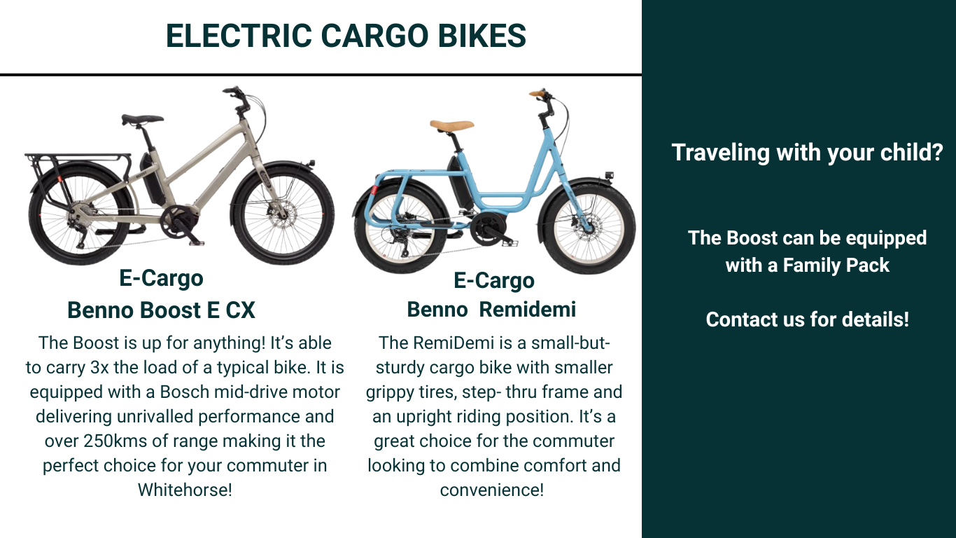Our Summer Fleet E-cargo bike
