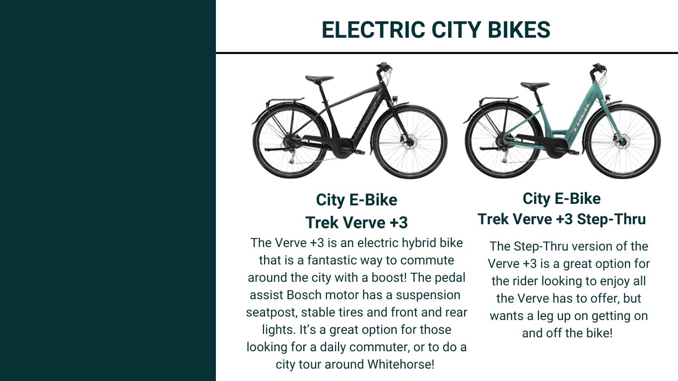 Icycle Summer Fleet Electric City Bikes