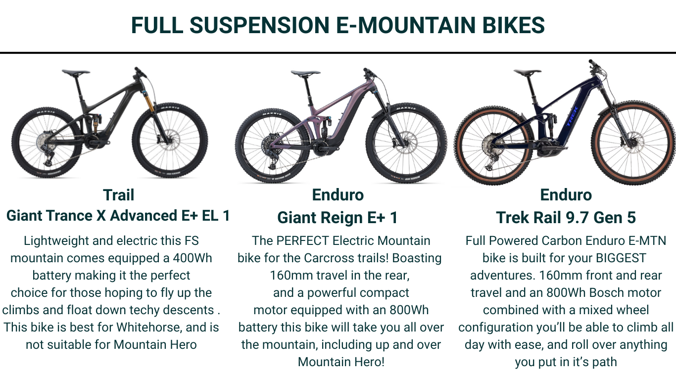 Icycle Summer Fleet Full Suspension Electric Mountain 