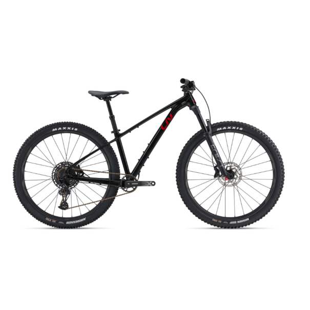 Giant 2024 Lurra 1 Cues