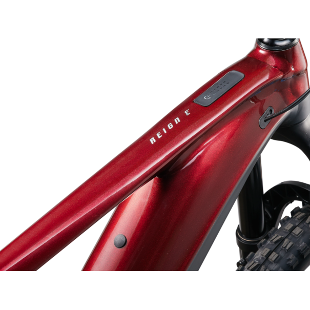 Giant 2025 Giant Reign E+ 2 32km/hr