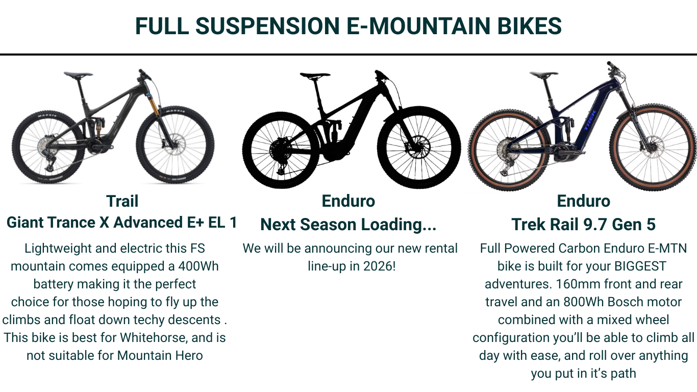 Icycle Summer Fleet Full Suspension Electric Mountain 