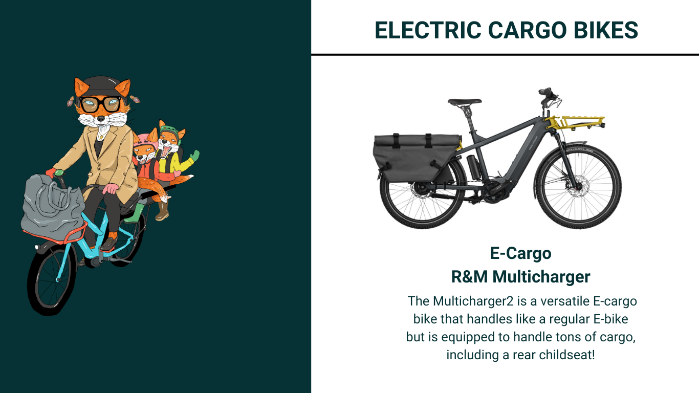 E cargo Multi