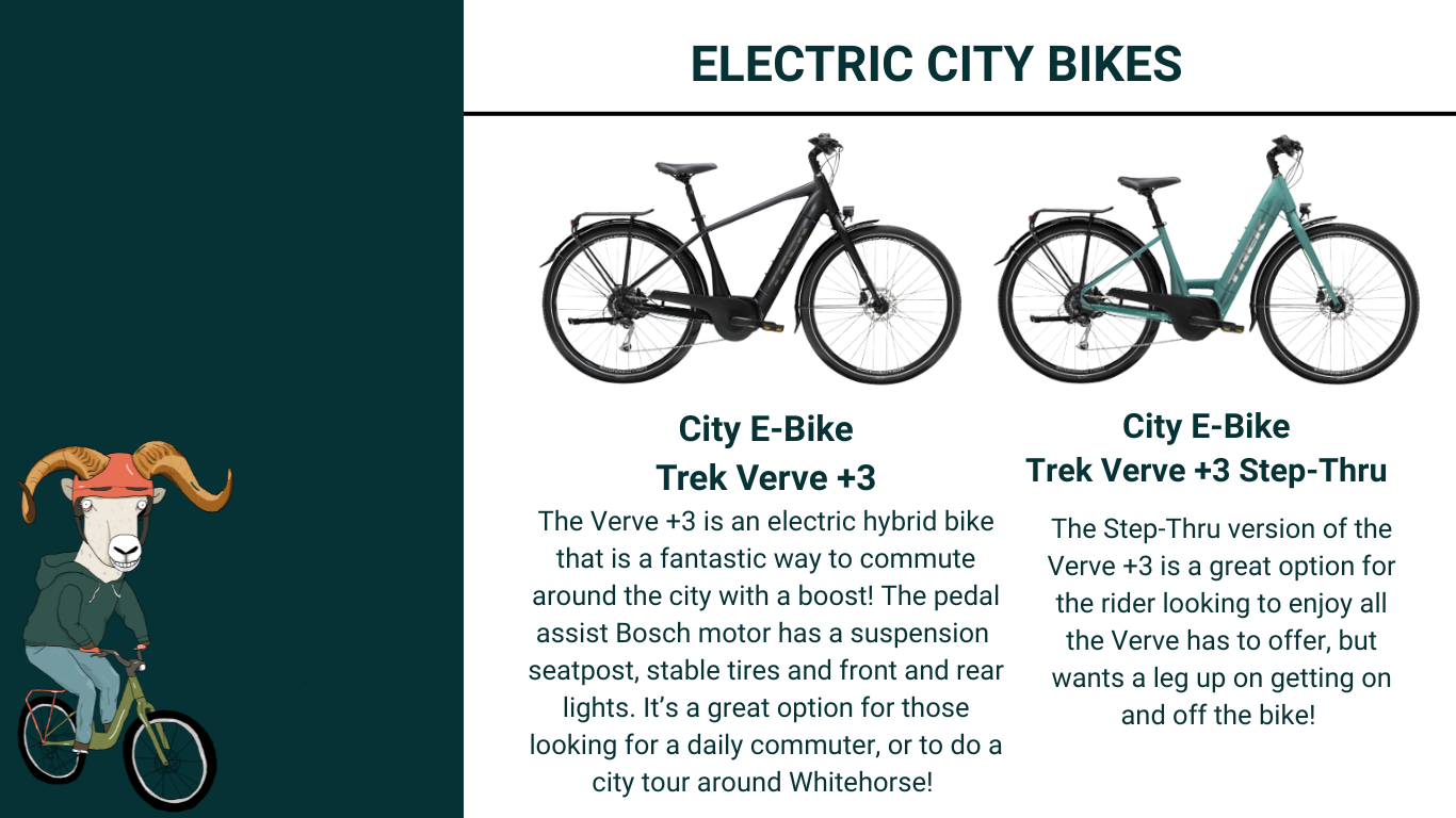 Icycle Summer Fleet Electric City Bikes
