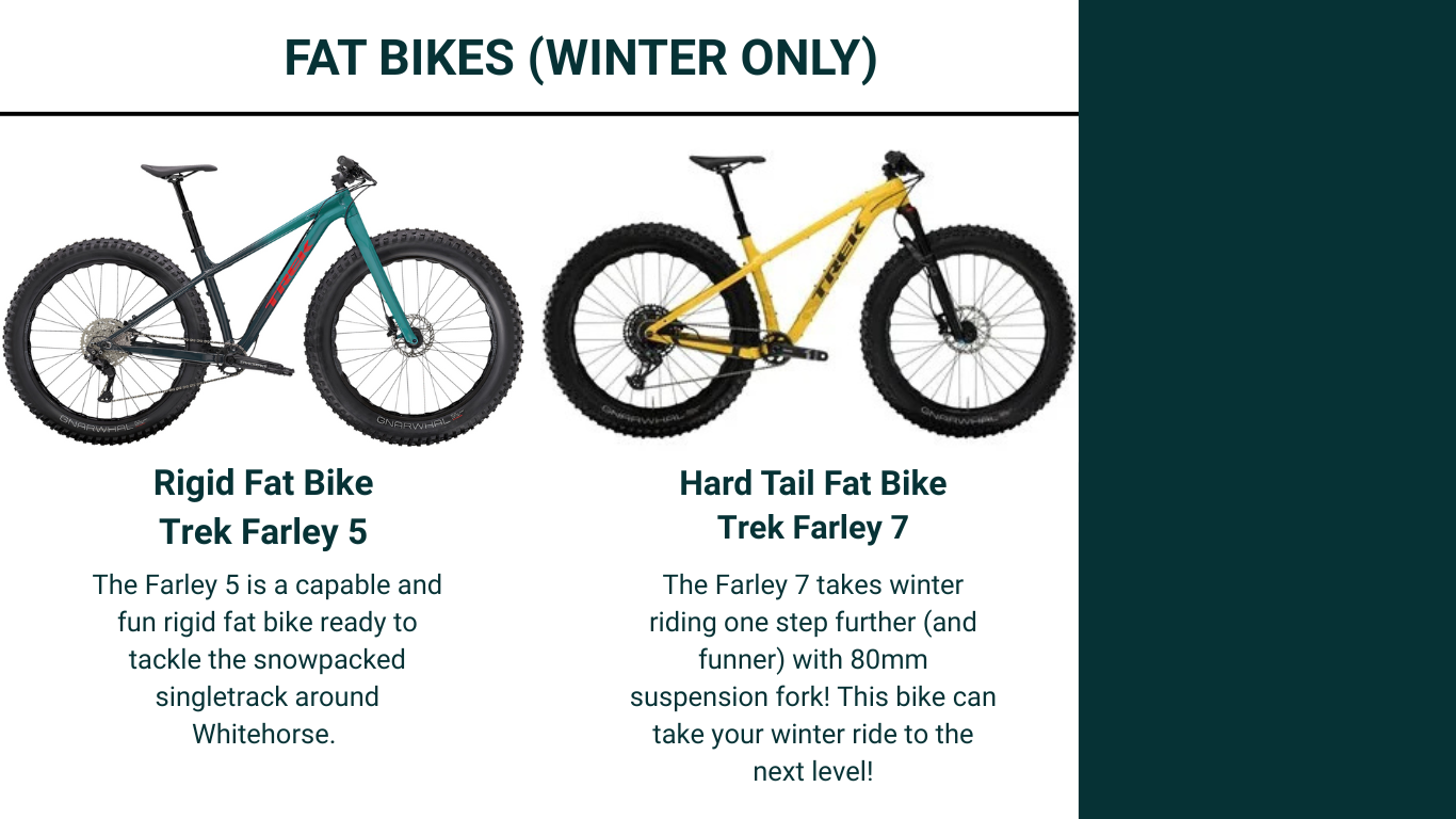 Fat Bike Rentals