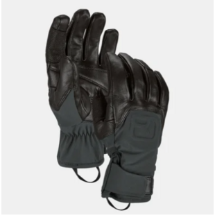 Ortovox Alpine Pro Glove
