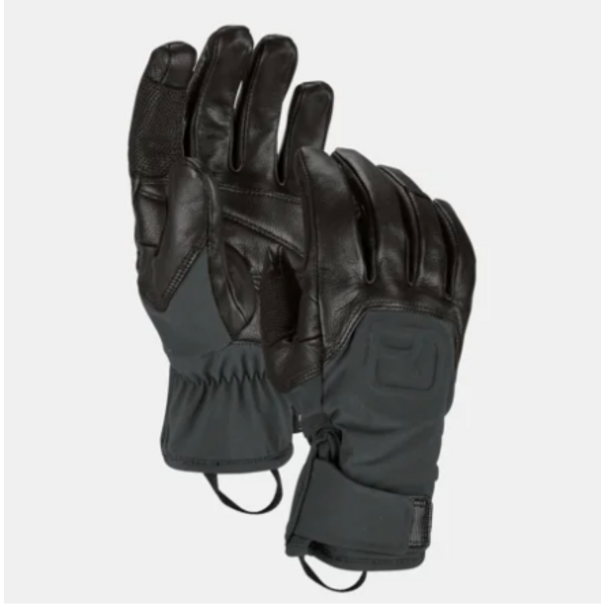 Ortovox Ortovox Alpine Pro Glove