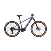 2026 Demo Liv Tempt E+