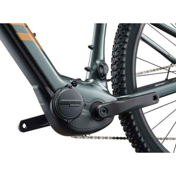 Giant 26 Giant Talon E+ 32km/hr