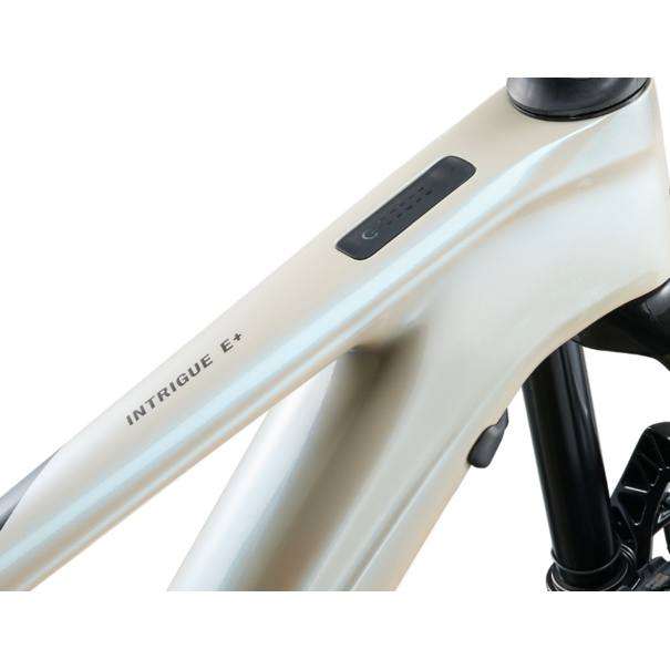 Liv Liv Intrigue X Advanced E+EL 3