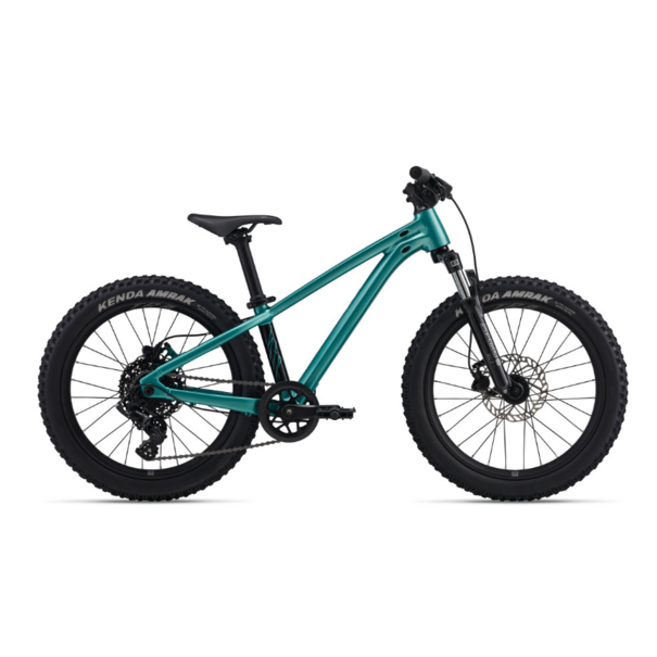 Giant Giant STP 20 FS  Teal