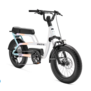 2026 Trek Ponto Go!