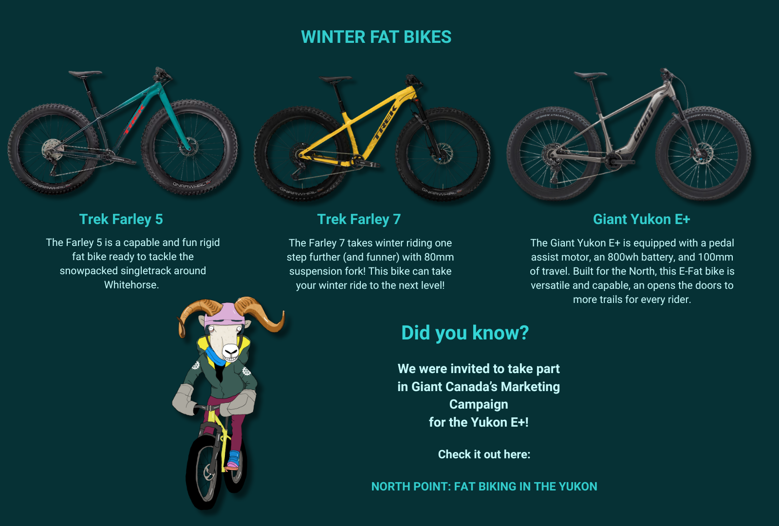 Fat Bike Rentals