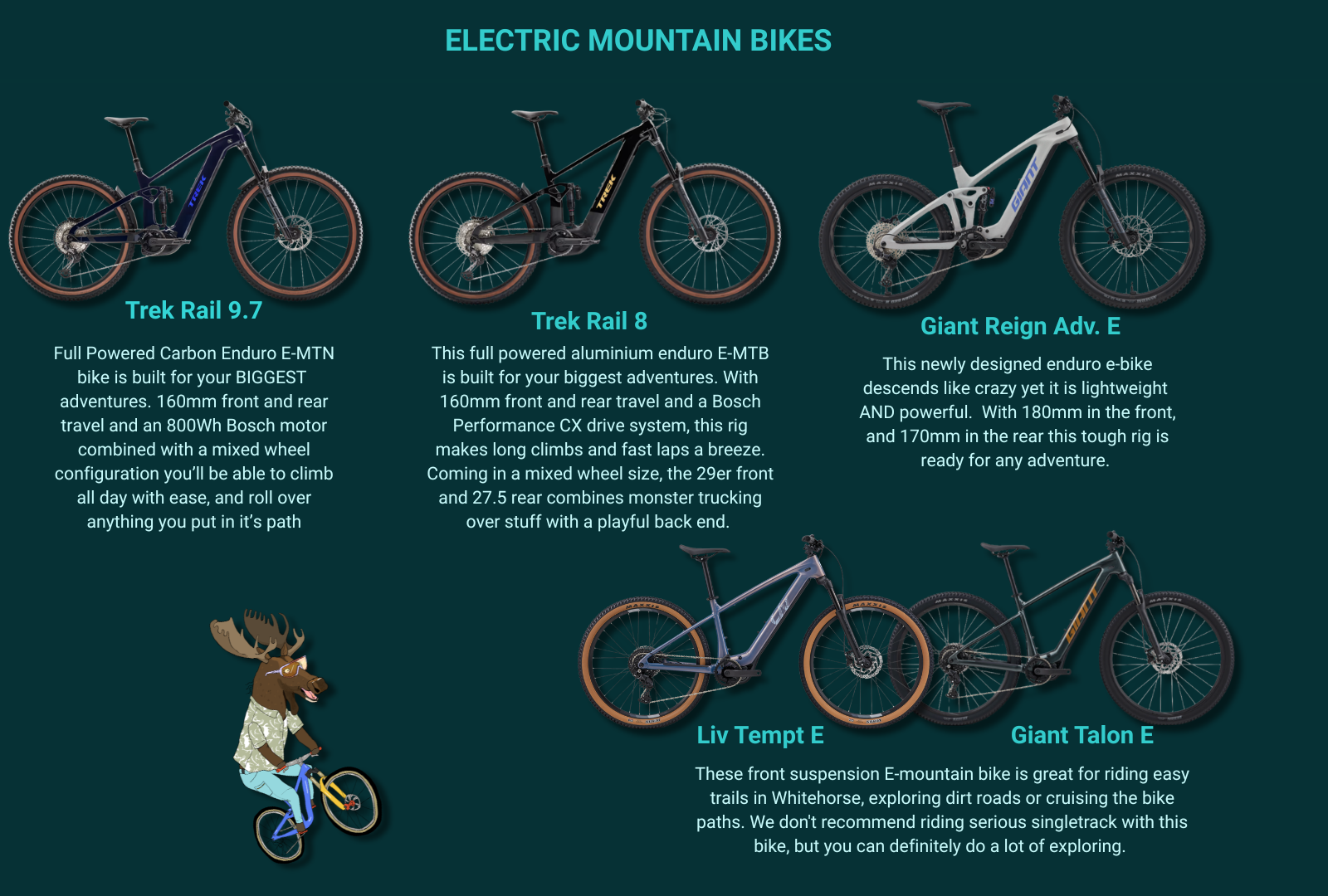 Icycle Summer Fleet Full Suspension Fleet
