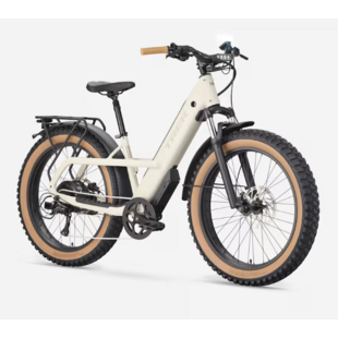 Trek Borrego+