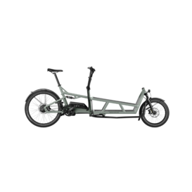 Riese & Muller Load4 75 Vario Grey + child kit