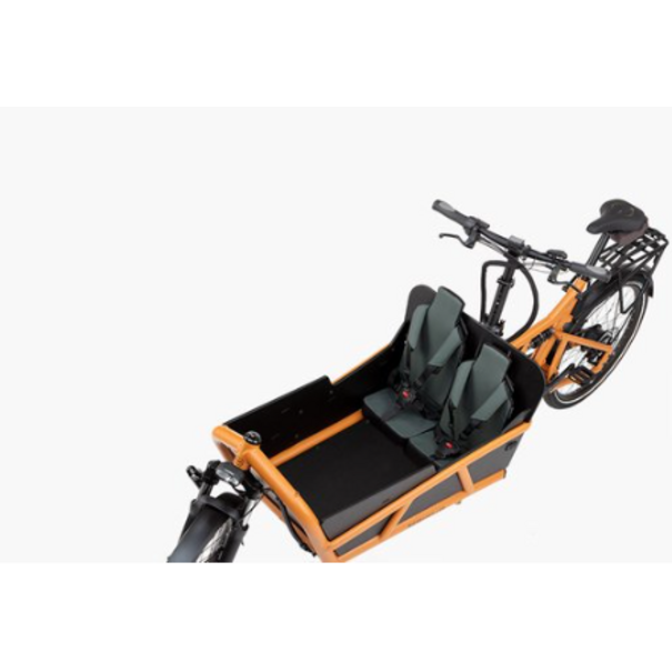 Riese & Müller Riese & Muller Load4 75 Vario Grey + child kit