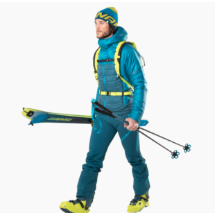 Dynafit Tour Vario Pole Frost