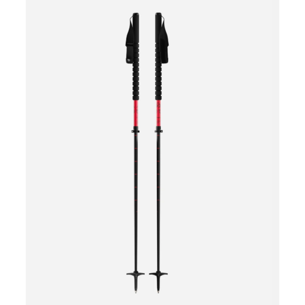 Black Crows Black Crows Duos Freebird Poles