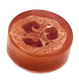 Birdbath BirdBath Loofah Bar Soap Apple Sage