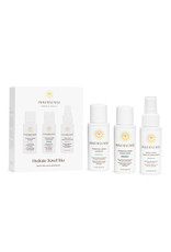 Innersense Organic Beauty Innersense Beauty Hydrating Tvl Trio