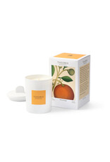Theorie Botanique Theorie Botanique Honey Orange Candle