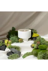 SRPH SRPH Ghost, Ghouls & Gooseberries Candle