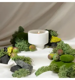 SRPH SRPH Ghost, Ghouls & Gooseberries Candle