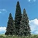 Woodland Scenics #TR3565, Woodland Scenics Forever Green Trees 2 1/2"- 4" (5)