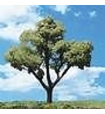 Woodland Scenics #TR3545, Woodland Scenics Early Light Trees 3/4"- 1 1/4" (8)