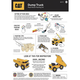 Dr Toys CAT DUMP TRUCK LICENSED WOOD PAINT KIT