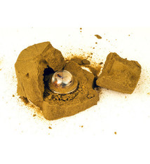 Schylling Chip Away BUG