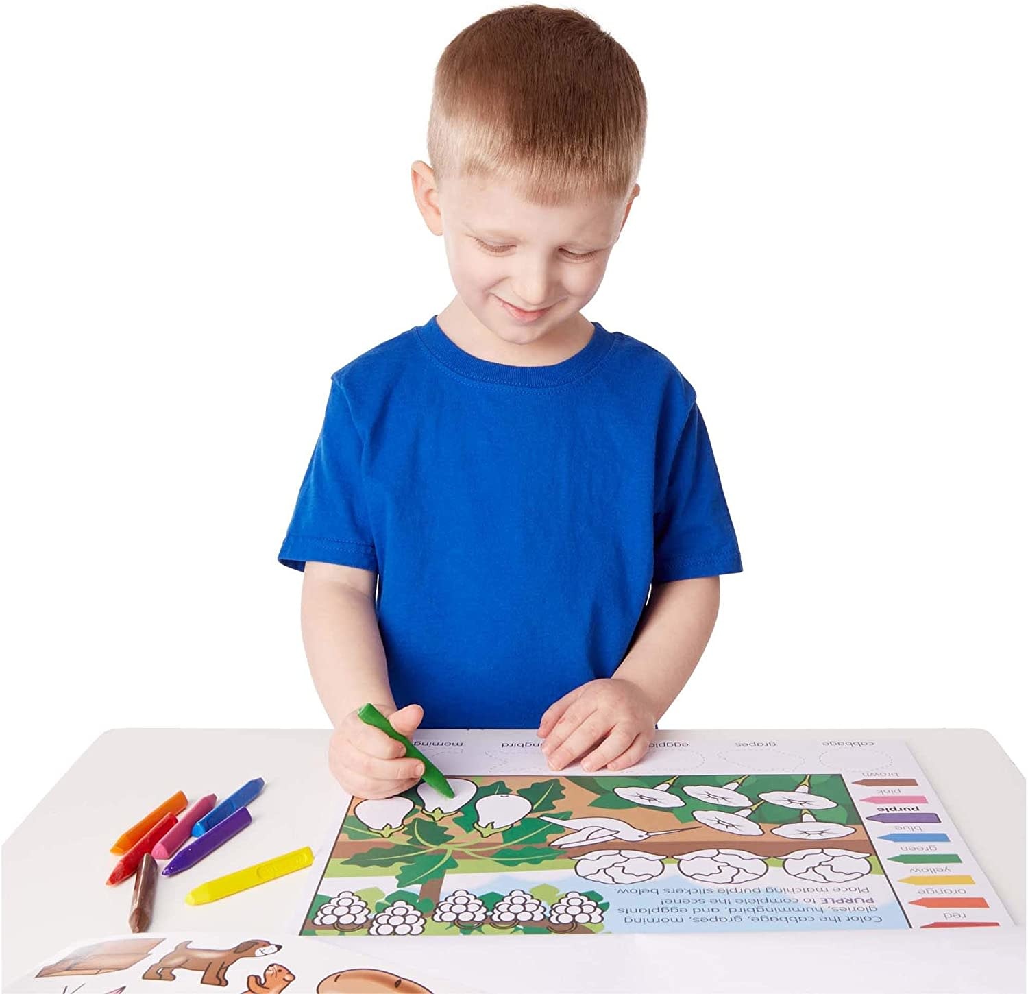 Colors & Shapes Activity Pad