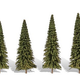 Woodland Scenics TR3568 Forever Green Trees 3.5"- 5.5" (4)