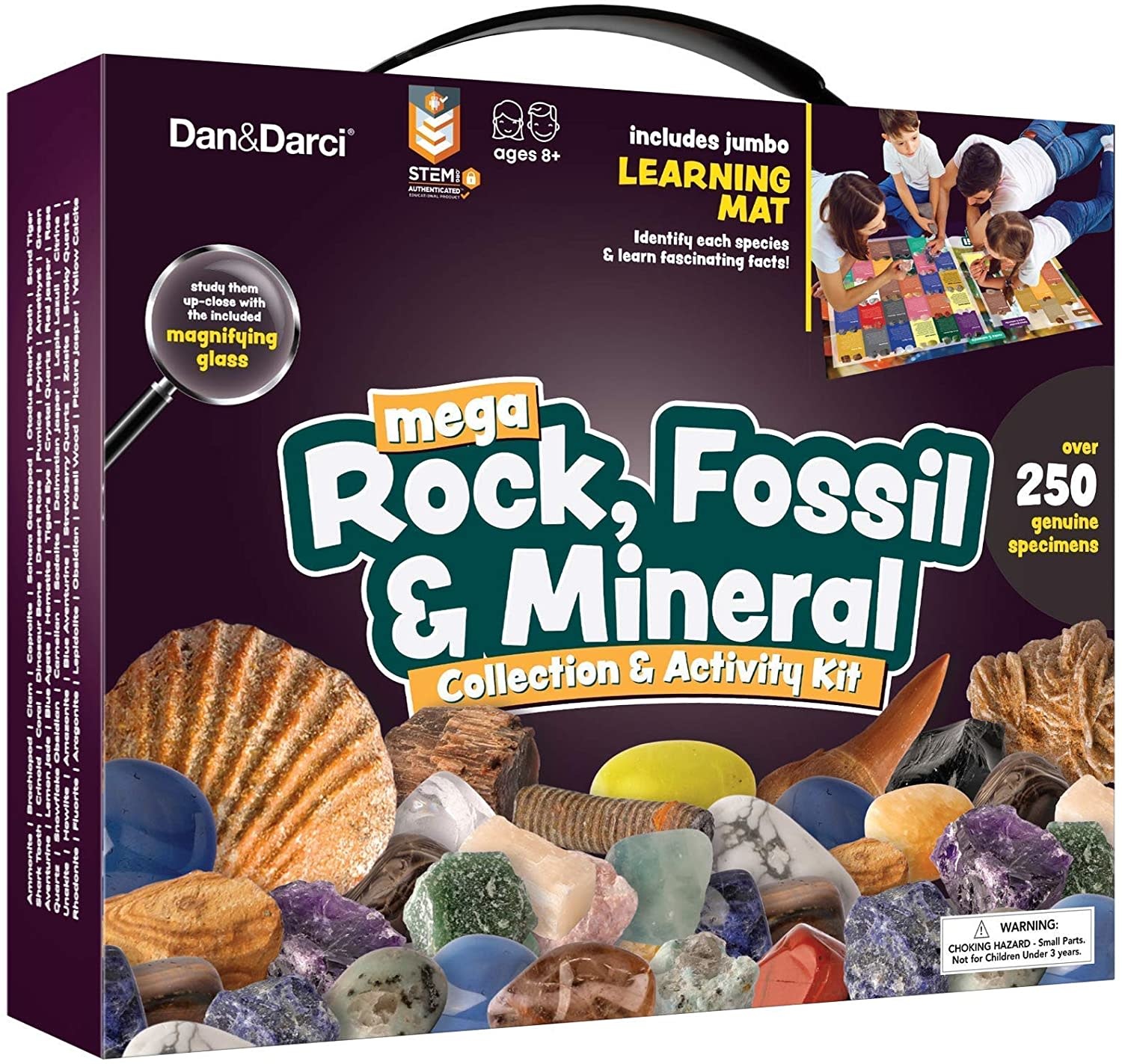 D&L Rock, Fossil & Mineral Collection & Activity Kit