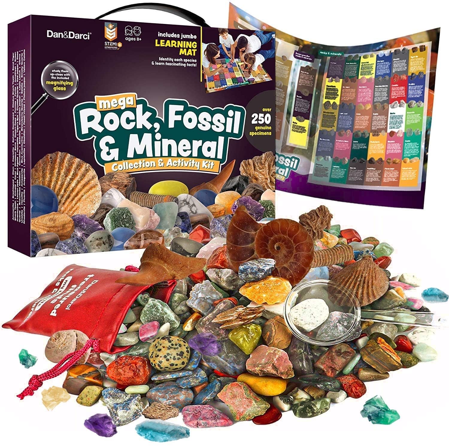  Educational Insights Complete Rock, Mineral, and Fossil  Collection, Ages 8 and up, (57 pieces with storage tray) : Toys & Games