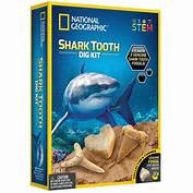 Blue Marble National Geographic Shark Tooth Dig Kit