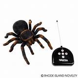 The Toy Network 10" Remote Controlled Tarantula
