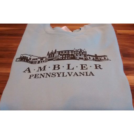 Choo Choo's BLUE - LARGE - Ambler Sweatshirt