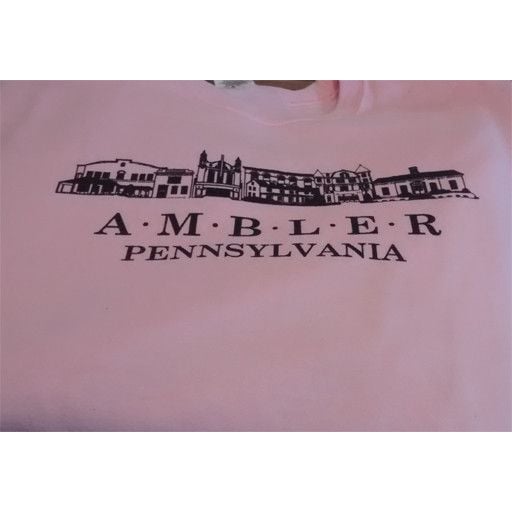 Choo Choo's PINK - XL - Ambler Sweatshirt