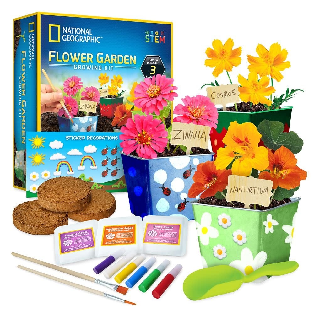 Blue Marble National Geographic Flower Growing Kit