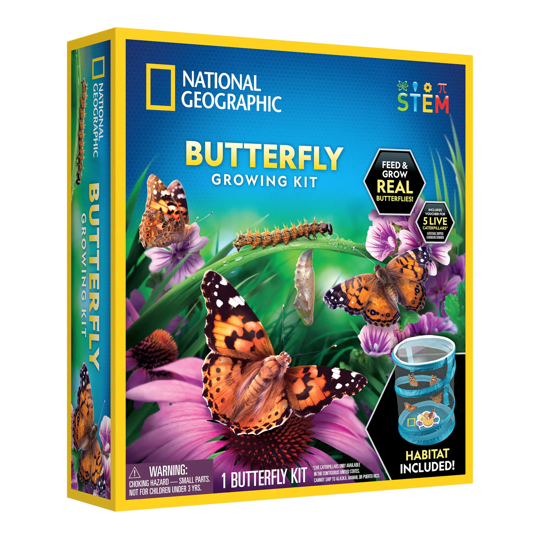 Blue Marble National Geographic Butterfly Grow Kit