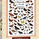 Masterpiece Butterflies of North America 1000 piece puzzle