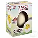 The Toy Network Hatch and Grow Chick