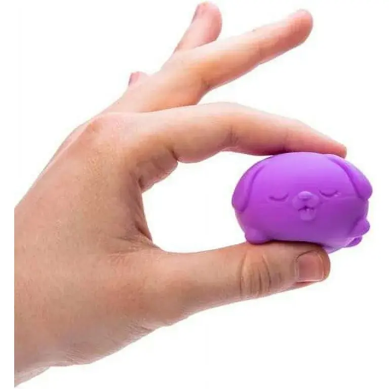 Schylling Teenie Funky Pups Nee Doh