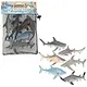 The Toy Network Aquatic Shark Play Set